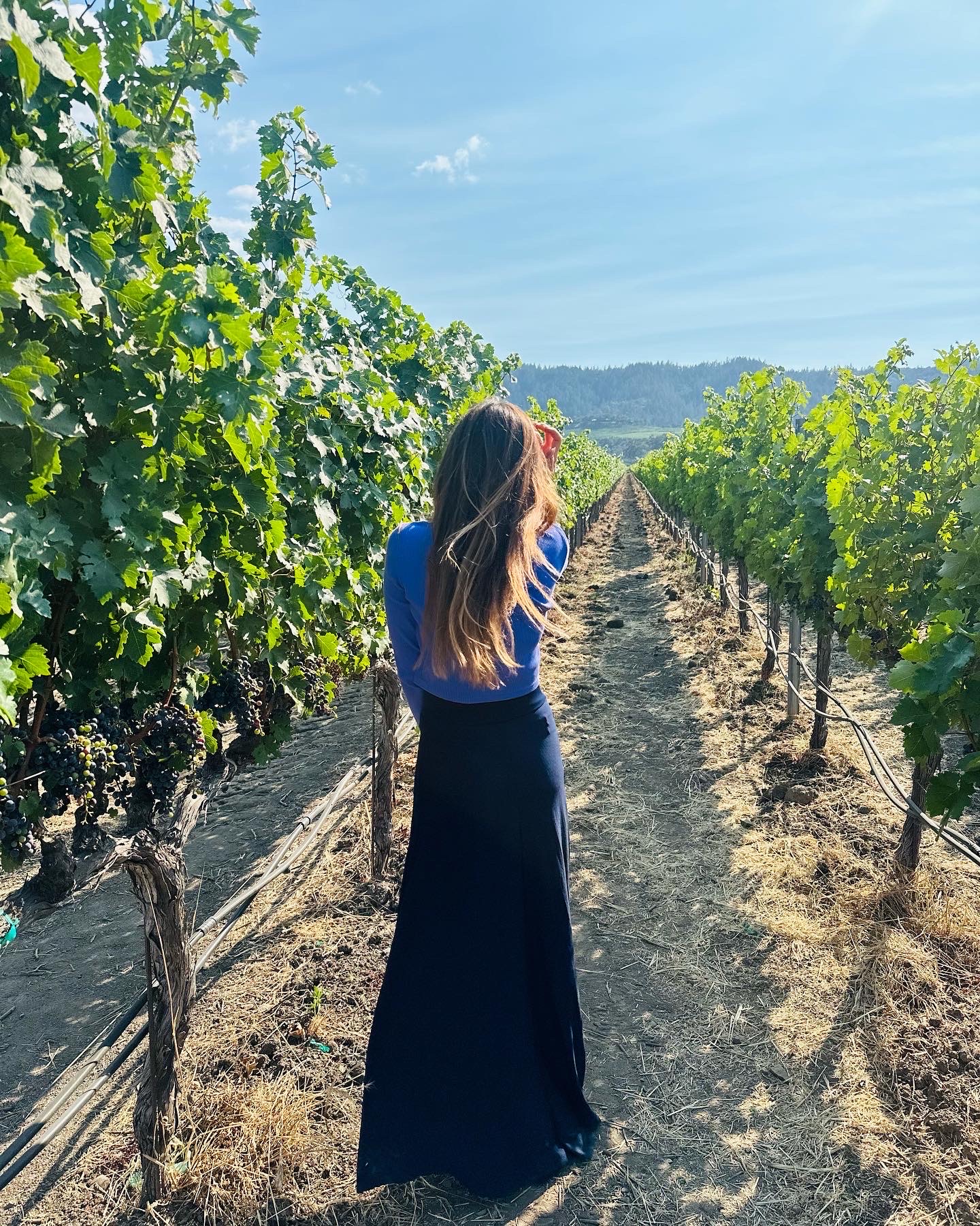 Stop in Napa Valley
